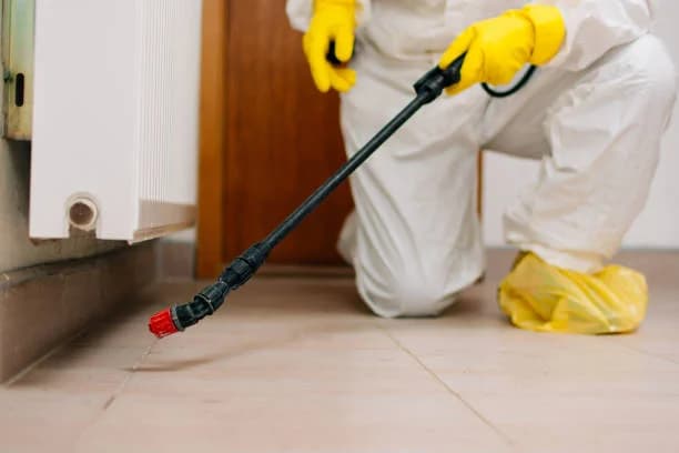 Benefits of Cockroach Control